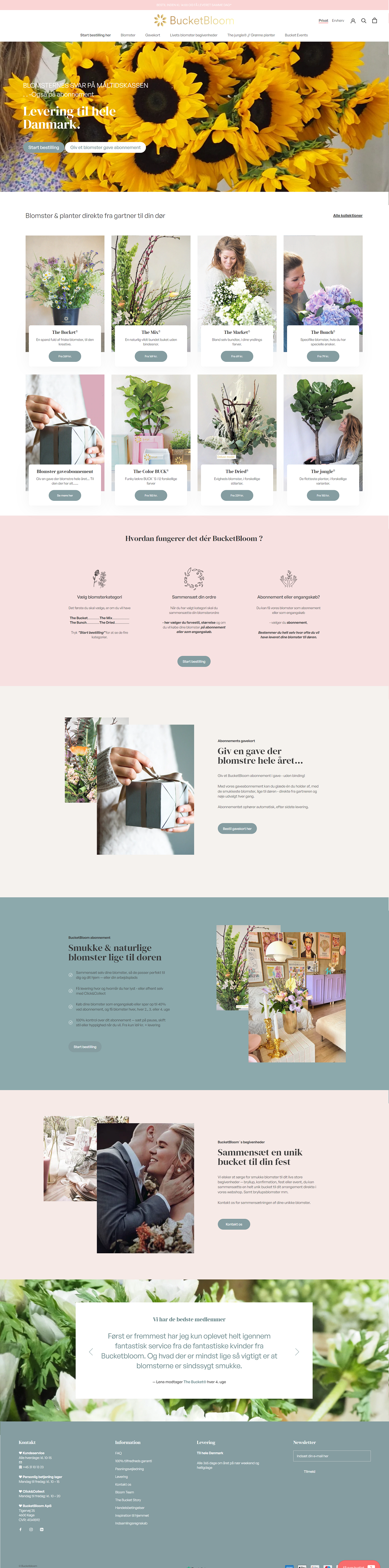 Shopify store development - retail and wholesale | Figma to Shopify