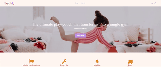 Gajendra D - Shopify Developer