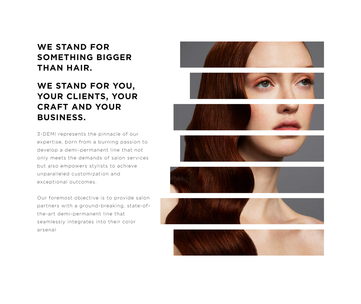Shopify Section - Coded solution for strip effect on the image